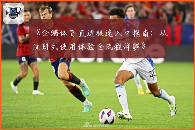 《企鹅体育直连极速入口指南：从注册到使用体验全流程详解》