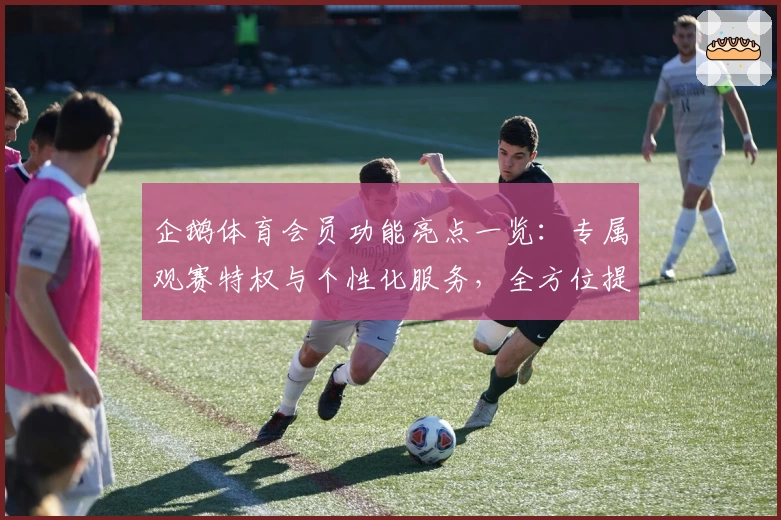 企鹅体育会员功能亮点一览：专属观赛特权与个性化服务，全方位提升观赛体验