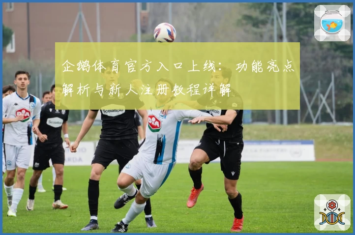 企鹅体育官方入口上线：功能亮点解析与新人注册教程详解