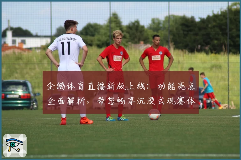 企鹅体育直播新版上线：功能亮点全面解析，带您畅享沉浸式观赛体验