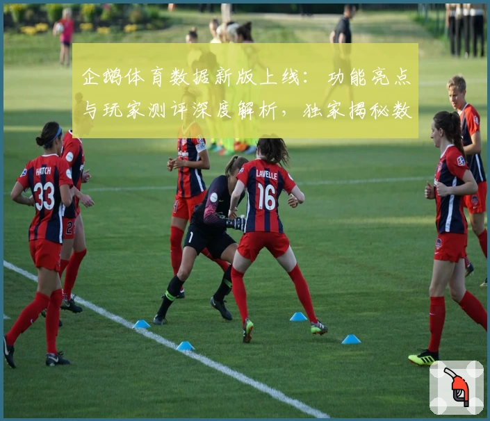 企鹅体育数据新版上线：功能亮点与玩家测评深度解析，独家揭秘数据背后的精彩世界