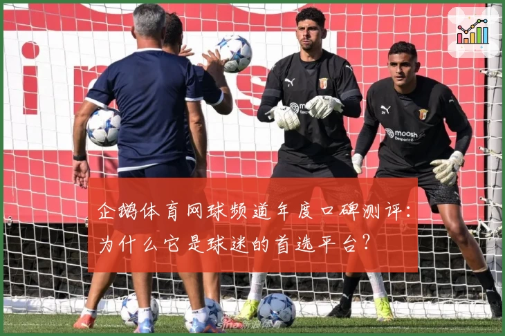企鹅体育网球频道年度口碑测评:为什么它是球迷的首选平台?