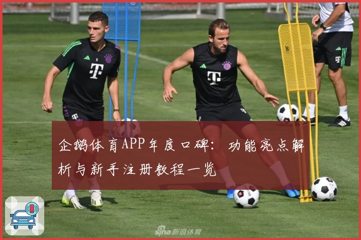 企鹅体育APP年度口碑：功能亮点解析与新手注册教程一览