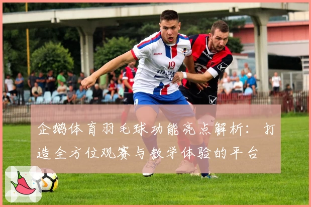 企鹅体育羽毛球功能亮点解析:打造全方位观赛与教学体验的平台