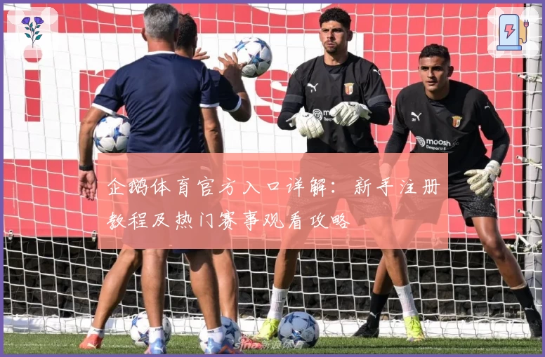 企鹅体育官方入口详解：新手注册教程及热门赛事观看攻略