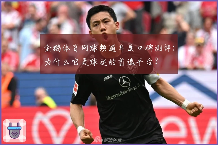 企鹅体育网球频道年度口碑测评:为什么它是球迷的首选平台?