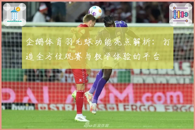 企鹅体育羽毛球功能亮点解析:打造全方位观赛与教学体验的平台